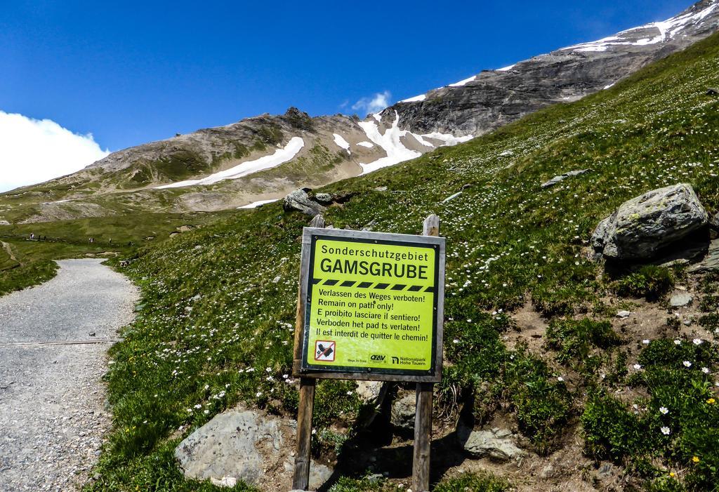 Landhaus Alpenrose - Feriendomizile Pichler ハイリゲンブルート エクステリア 写真